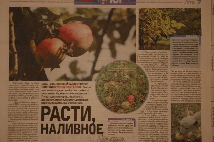 РАСТИ НАЛИВНОЕ