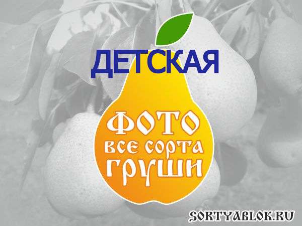 СОРТ ГРУШИ ДЕТСКАЯ. ФОТО