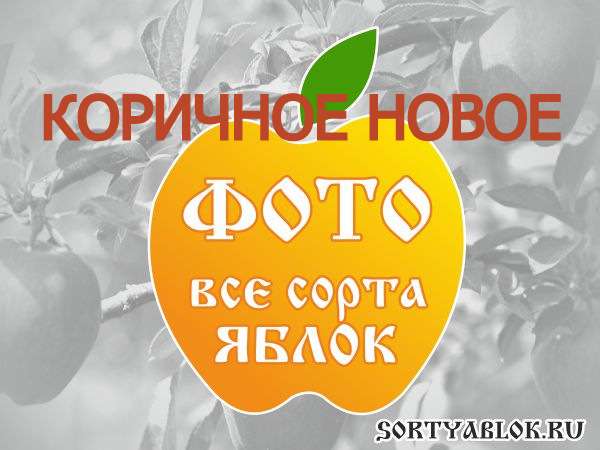 СОРТ ЯБЛОК КОРИЧНОЕ НОВОЕ. ФОТО